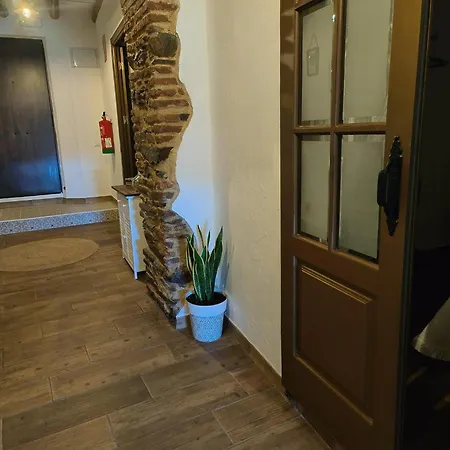 Abuela Remedios Tatil Evi Segura de León