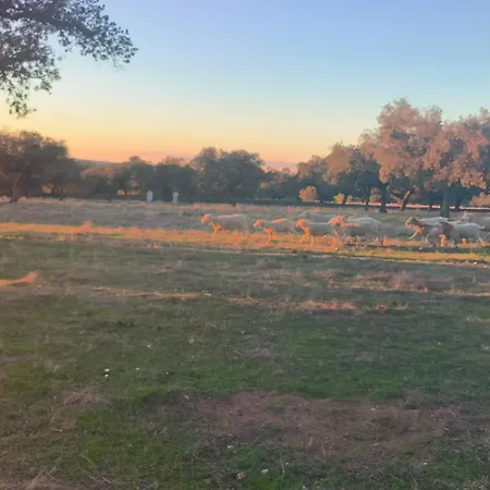 Abuela Remedios Segura de León