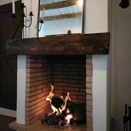 Abuela Remedios Tatil Evi Segura de León