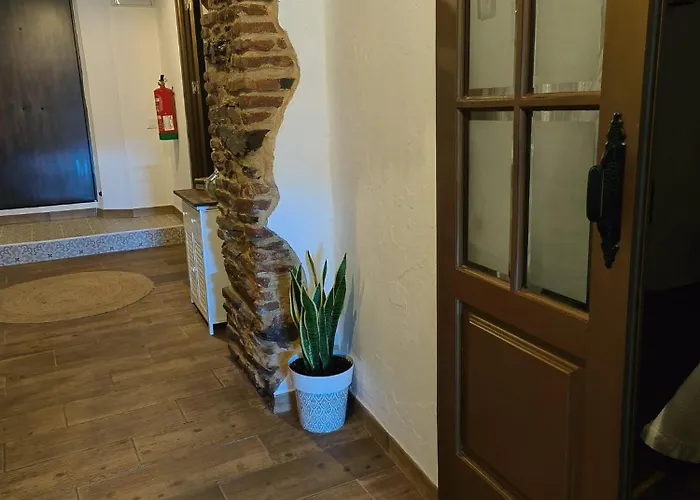 Abuela Remedios Tatil Evi Segura de León